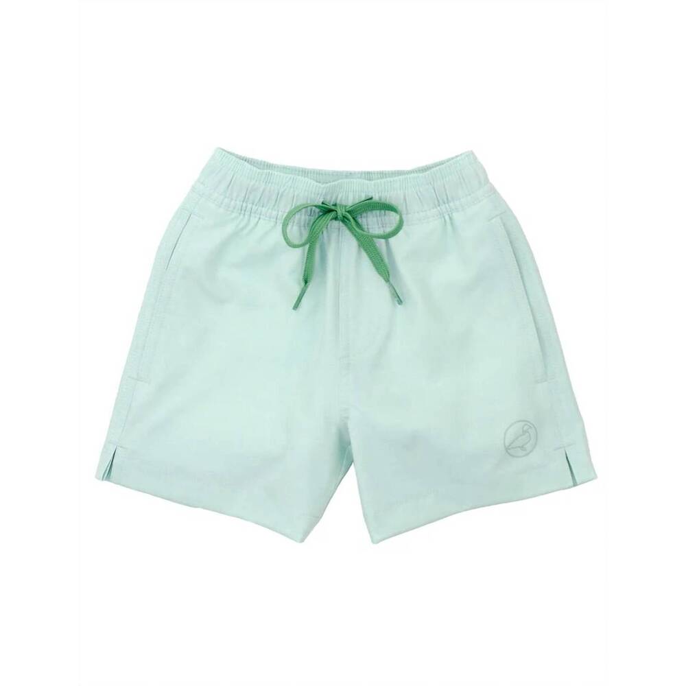 NEW PROPERLY TIED boy's splash swim trunk in birdie